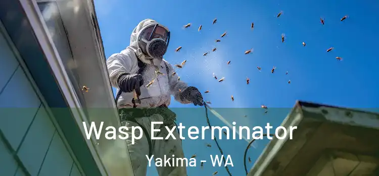  Wasp Exterminator Yakima - WA