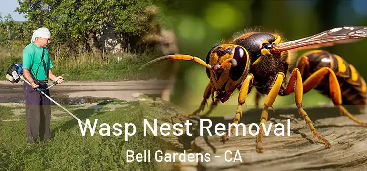  Wasp Nest Removal Bell Gardens - CA
