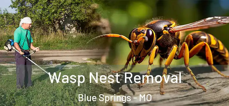  Wasp Nest Removal Blue Springs - MO