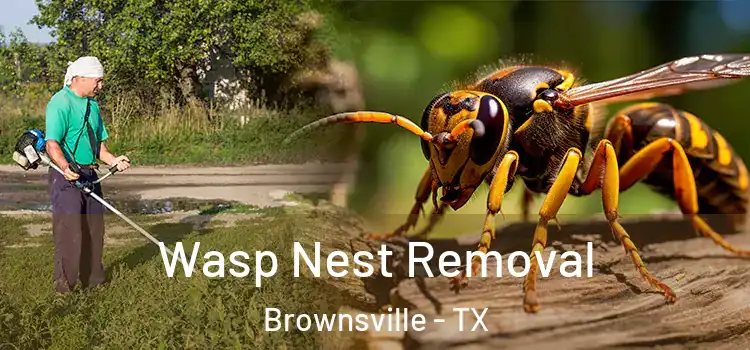 Wasp Nest Removal Brownsville - TX