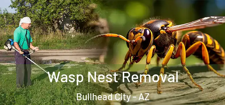 Wasp Nest Removal Bullhead City - AZ