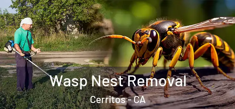  Wasp Nest Removal Cerritos - CA