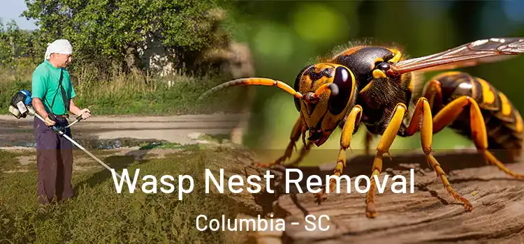 Wasp Nest Removal Columbia - SC