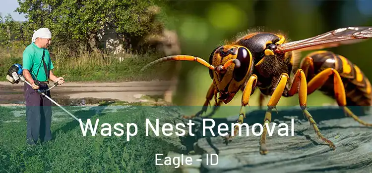 Wasp Nest Removal Eagle - ID