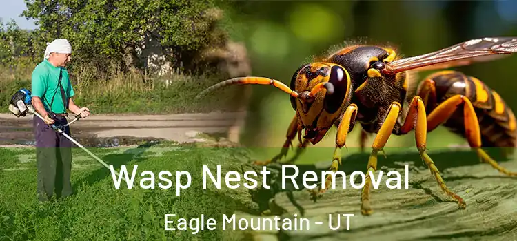  Wasp Nest Removal Eagle Mountain - UT