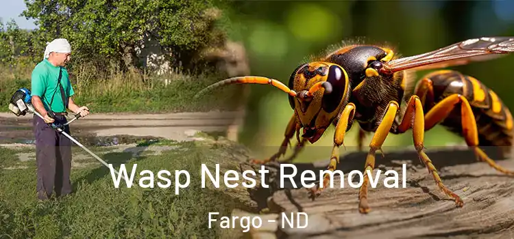 Wasp Nest Removal Fargo - ND