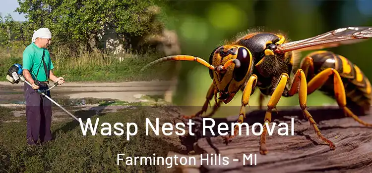 Wasp Nest Removal Farmington Hills - MI