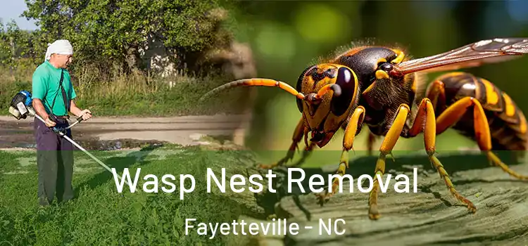 Wasp Nest Removal Fayetteville - NC