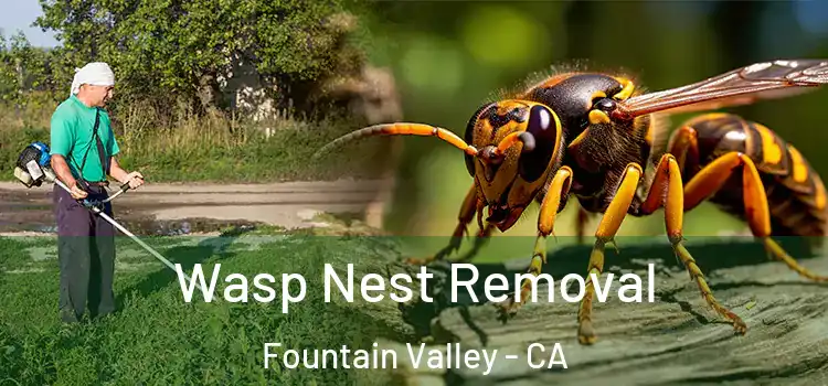 Wasp Nest Removal Fountain Valley - CA