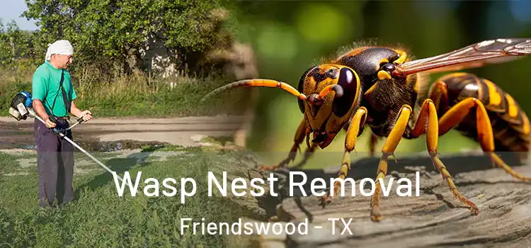  Wasp Nest Removal Friendswood - TX