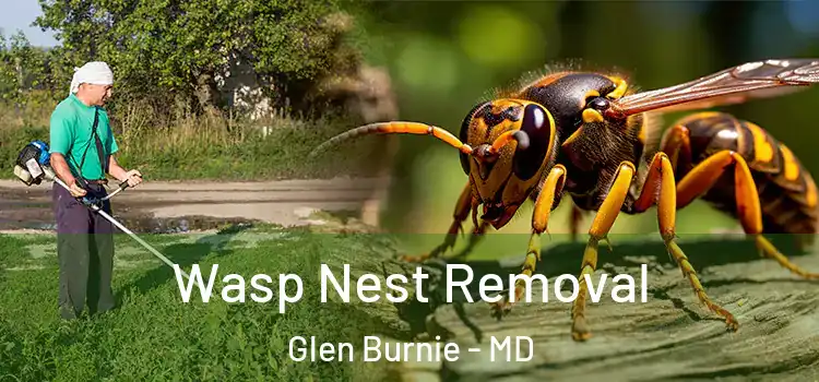  Wasp Nest Removal Glen Burnie - MD