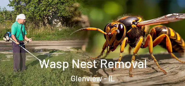 Wasp Nest Removal Glenview - IL