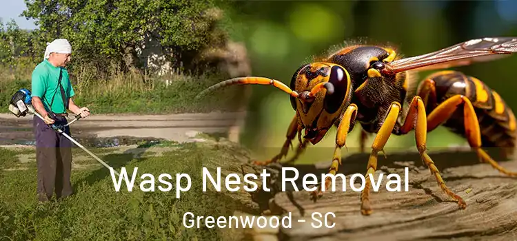 Wasp Nest Removal Greenwood - SC