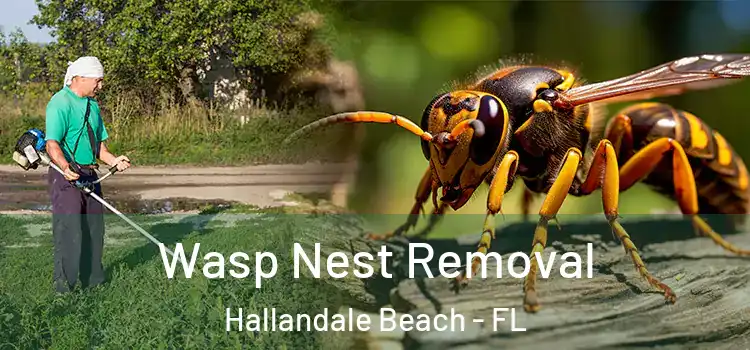  Wasp Nest Removal Hallandale Beach - FL