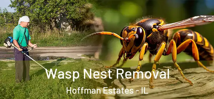 Wasp Nest Removal Hoffman Estates - IL