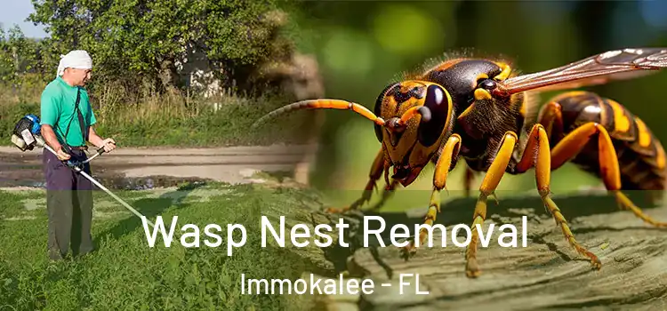 Wasp Nest Removal Immokalee - FL