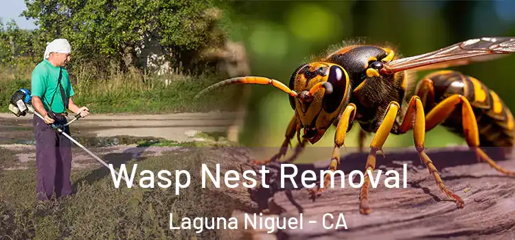 Wasp Nest Removal Laguna Niguel - CA