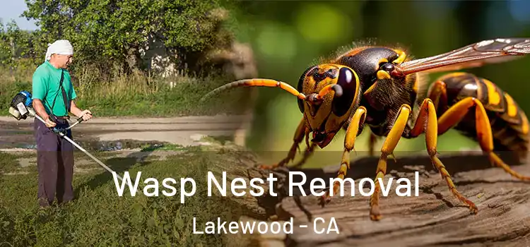 Wasp Nest Removal Lakewood - CA