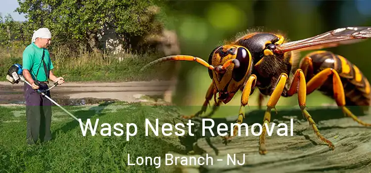 Wasp Nest Removal Long Branch - NJ