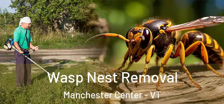  Wasp Nest Removal Manchester Center - VT
