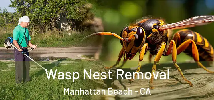  Wasp Nest Removal Manhattan Beach - CA