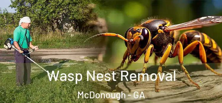  Wasp Nest Removal McDonough - GA