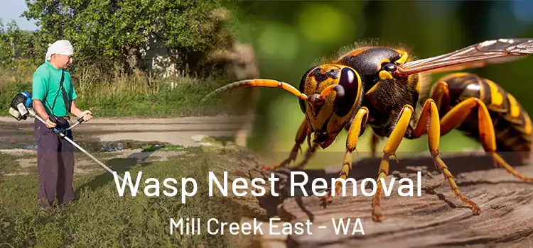  Wasp Nest Removal Mill Creek East - WA