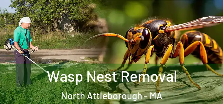  Wasp Nest Removal North Attleborough - MA