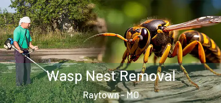  Wasp Nest Removal Raytown - MO