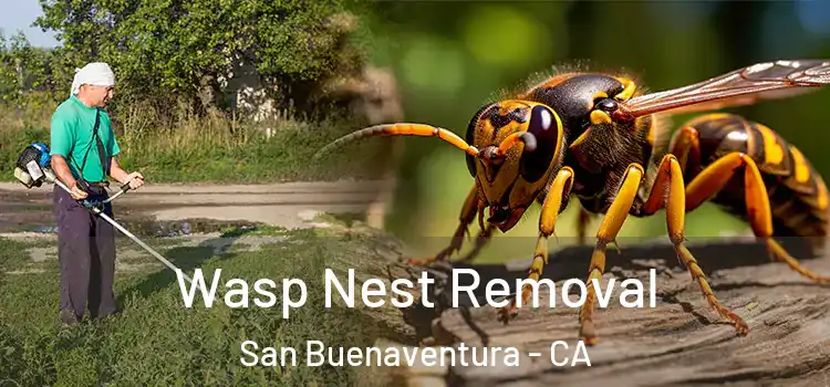 Wasp Nest Removal San Buenaventura - CA