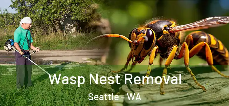  Wasp Nest Removal Seattle - WA