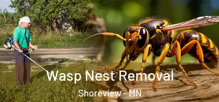 Wasp Nest Removal Shoreview - MN