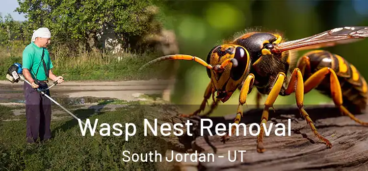  Wasp Nest Removal South Jordan - UT