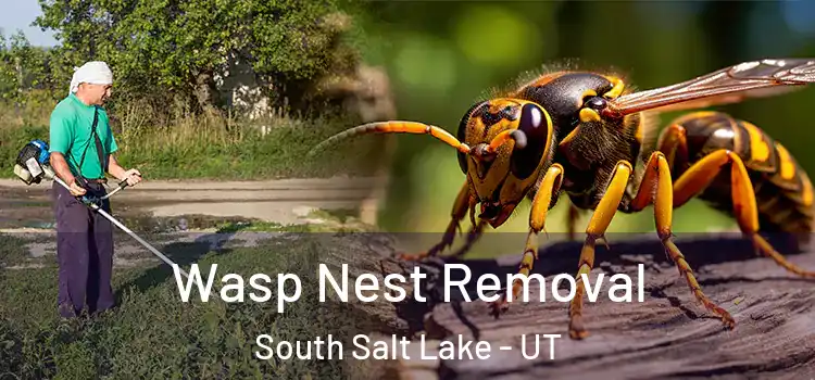 Wasp Nest Removal South Salt Lake - UT