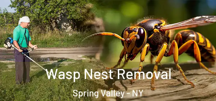 Wasp Nest Removal Spring Valley - NY