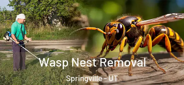  Wasp Nest Removal Springville - UT