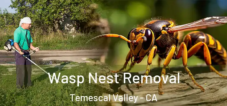  Wasp Nest Removal Temescal Valley - CA