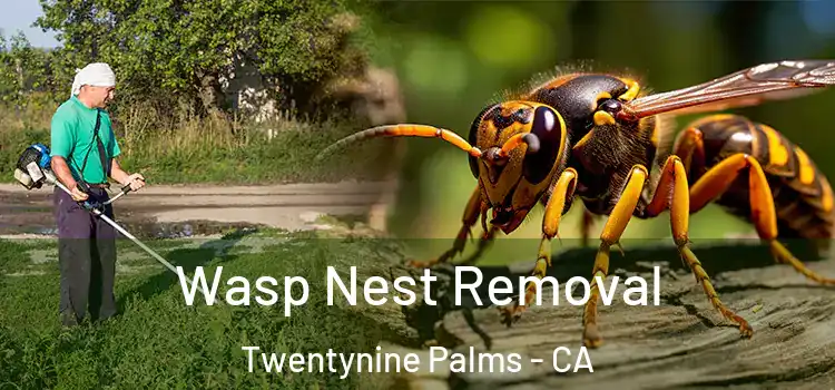  Wasp Nest Removal Twentynine Palms - CA