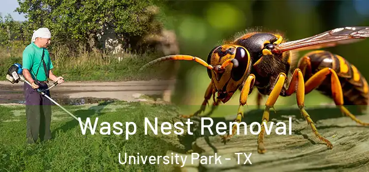 Wasp Nest Removal University Park - TX