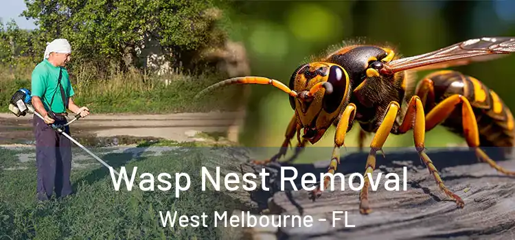 Wasp Nest Removal West Melbourne - FL