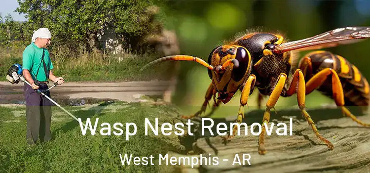 Wasp Nest Removal West Memphis - AR