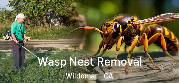 Wasp Nest Removal Wildomar - CA