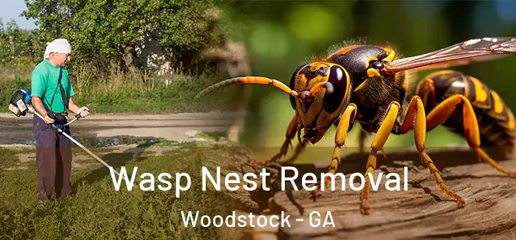  Wasp Nest Removal Woodstock - GA