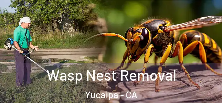  Wasp Nest Removal Yucaipa - CA