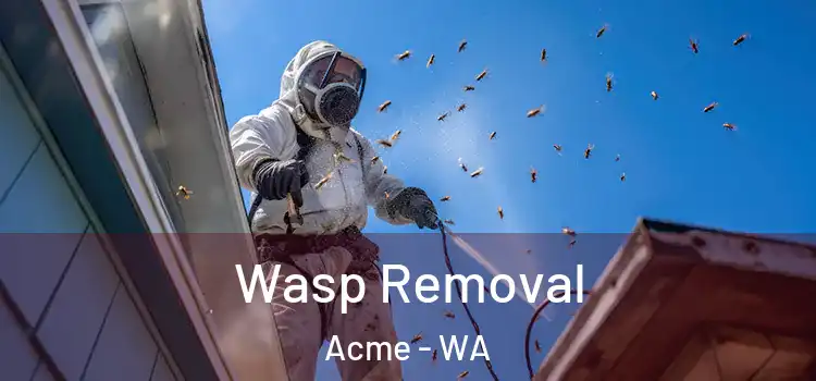  Wasp Removal Acme - WA