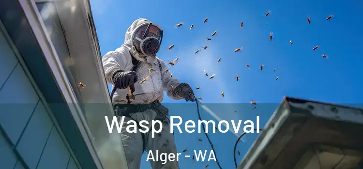  Wasp Removal Alger - WA