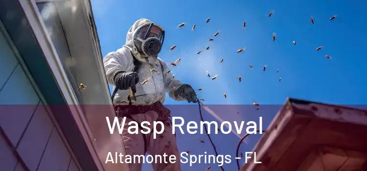 Wasp Removal Altamonte Springs - FL