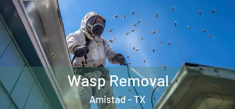 Wasp Removal Amistad - TX