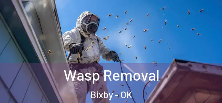  Wasp Removal Bixby - OK