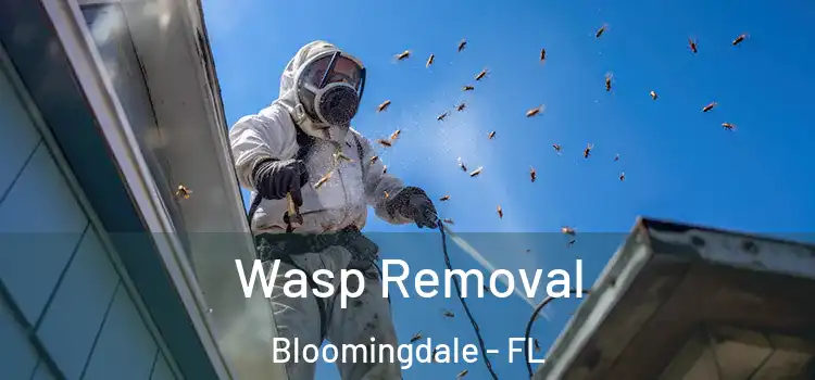  Wasp Removal Bloomingdale - FL